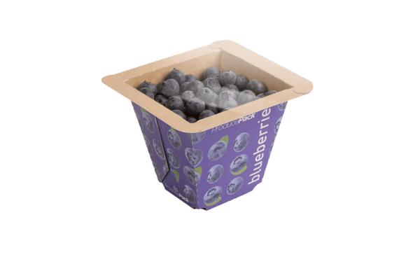 ProducePack™ Punnet - Blueberries