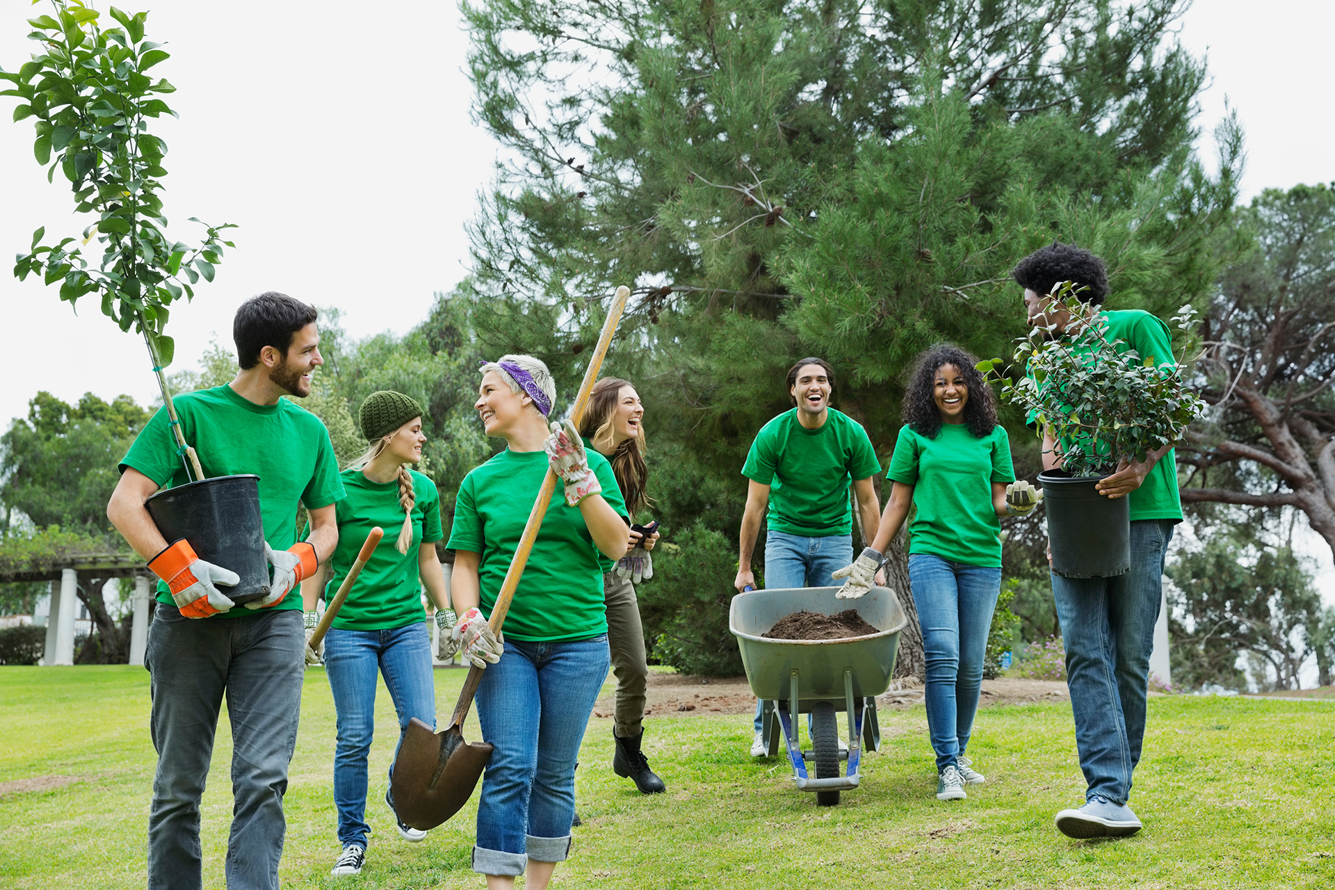 A group of volunteers outside carrying plants and shovels