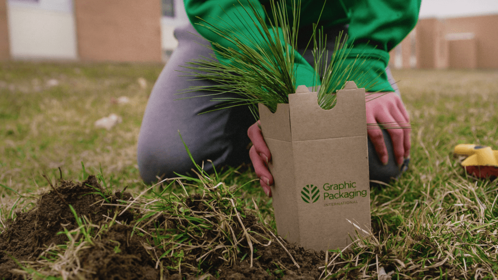 A person planting a tree