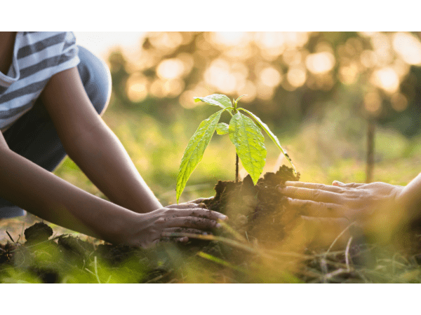 Graphic Packaging Joins Forces with Arbor Day Foundation to Restore Forests Worldwide