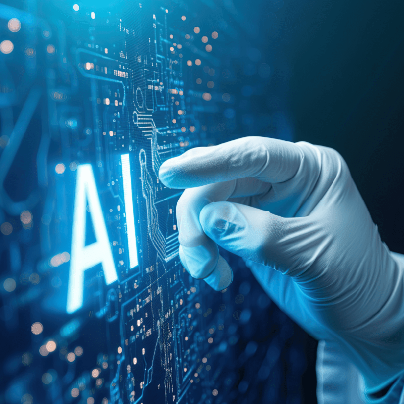 Selection of adaptogenic foods