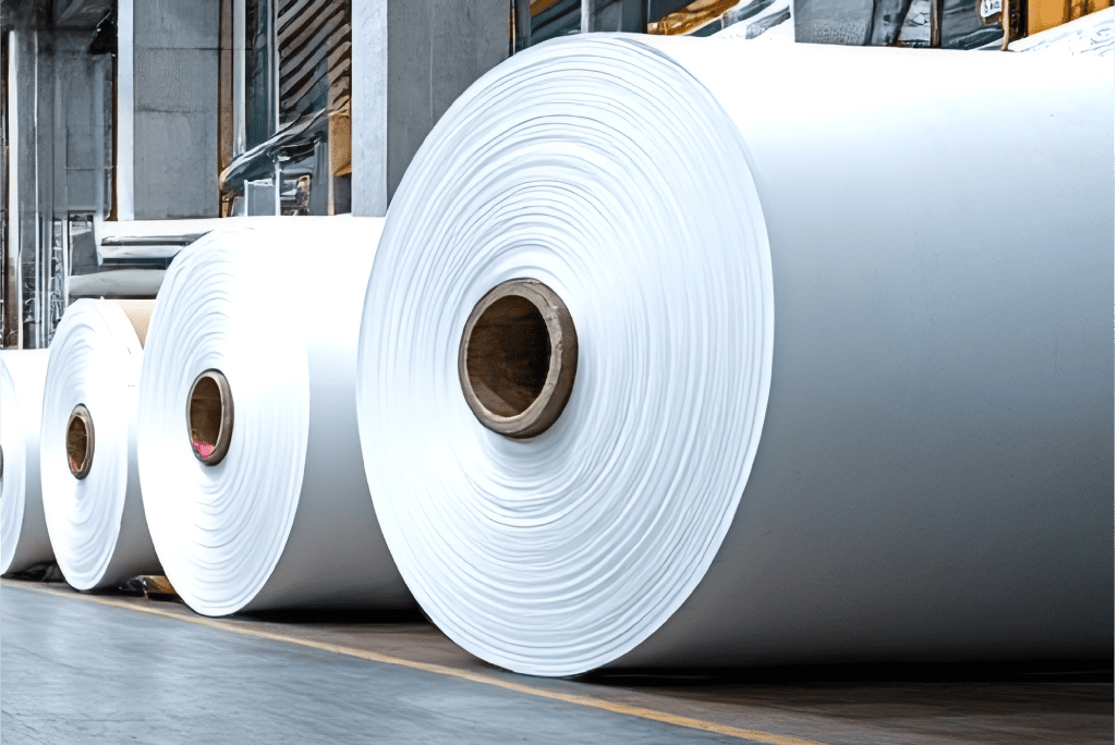 Rolls of paperboard in a mill