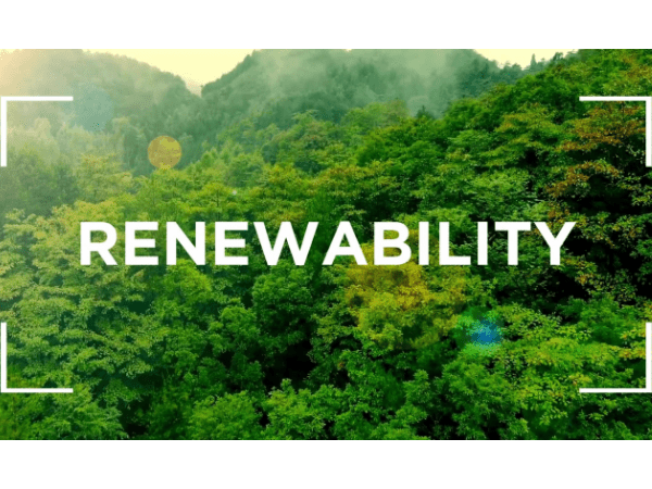 RENEWABILITY is Graphic Packaging’s signature outreach program within its RENEW social impact platform. It brings employees, youth and communities together to explore the renewability of trees and paperboard packaging, the importance of recycling, and environmental stewardship through tree-planting partnerships with the Arbor Day Foundation.