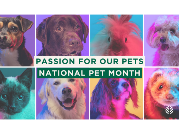 As our relationship with pets has evolved, so have the products we trust – and their packaging.